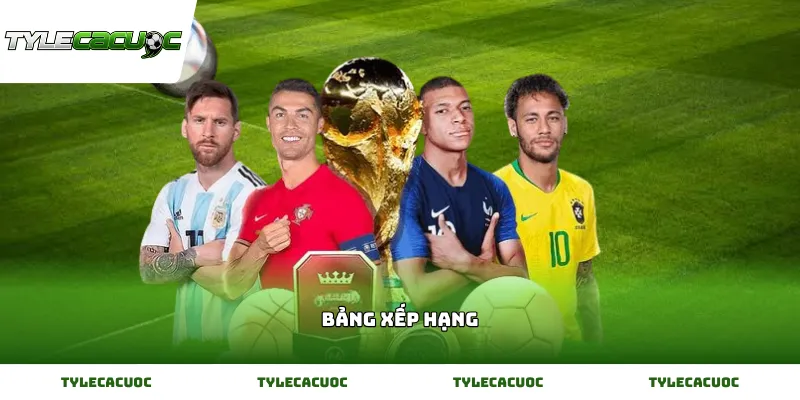 Theo dõi biến động điểm số trên Bảng xếp hạng bóng đá