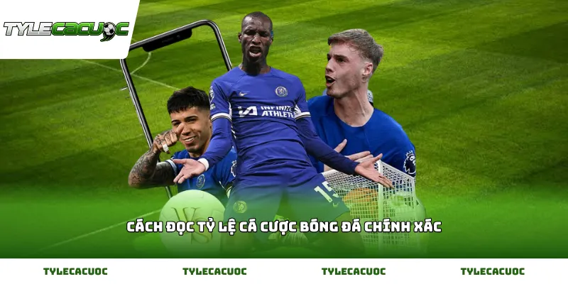 Cách Đọc Tỷ Lệ Cá Cược Bóng Đá Chính Xác