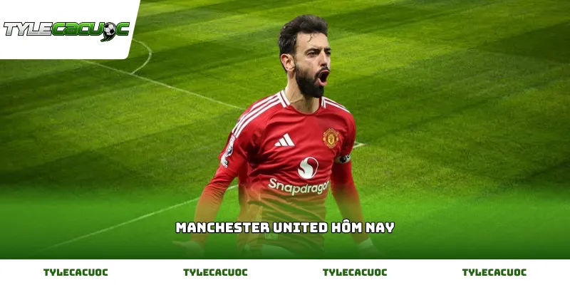 Dữ liệu đội hình dự kiến của Manchester United Hôm Nay