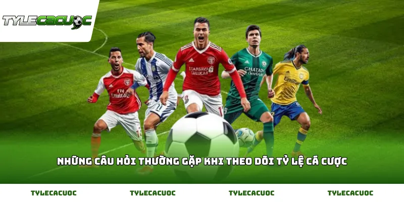Những Câu Hỏi Thường Gặp Khi Theo Dõi Tỷ Lệ Cá Cược
